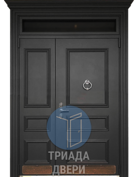 парадная тамбурная металлическая дверь